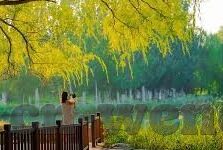 2018足球法国比分-2018世界杯法国夺冠之路，比分背后的热血与传奇