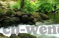 体育彩票足球比分-揭秘体育彩票足球比分，理性购彩，享受足球激情的智慧之道