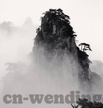 现场足球比分网-深度解析，现场足球比分网——球迷的实时信息战场与观赛新体验