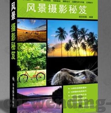 足球比分安卓-足球比分安卓应用，球迷的掌中利器与实时观赛新体验