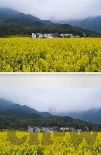 足球比分 源码-探秘足球比分源码，从数据抓取到可视化展示的全流程解析
