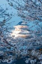 足球实时比分直播e-足球实时比分直播，一场跨越时空的激情狂欢